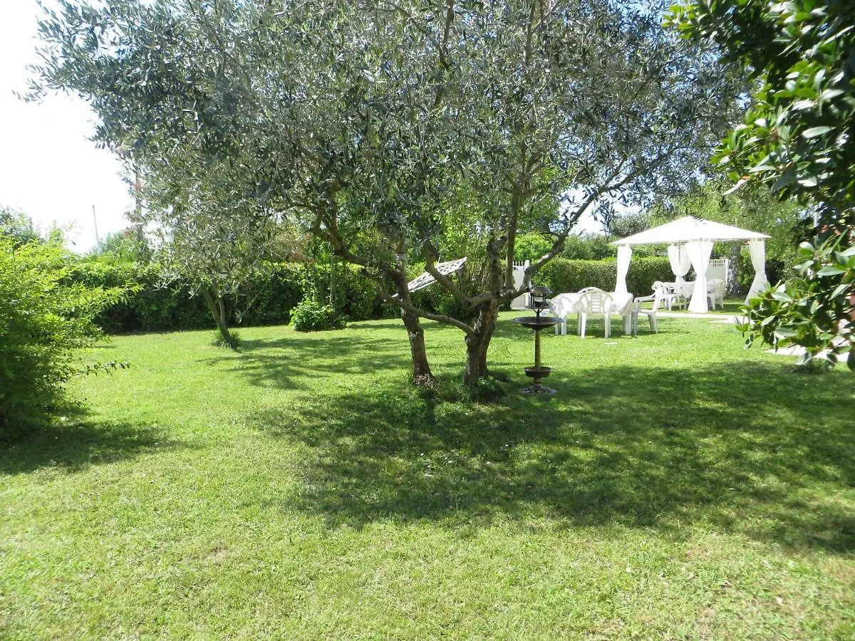 La Mimosa Chic Bed and Breakfast Pietrasanta Bed & Breakfast